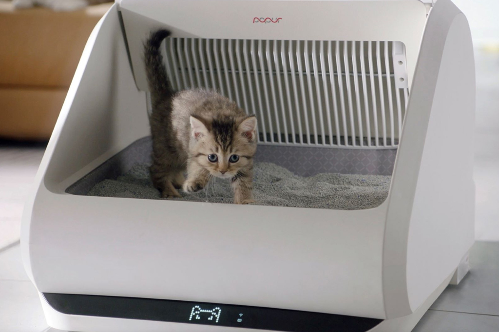 SI_441_TECH_vcdecide01_site Um gatinho filhote dentro da caixinha Popur.