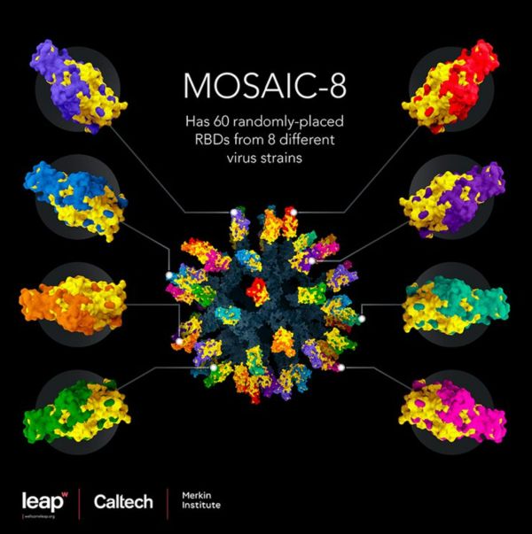 mosaic8 interna ilustracao