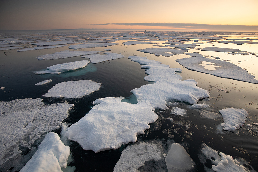 Pedaços de gelo derretendo nas águas do Ártico.