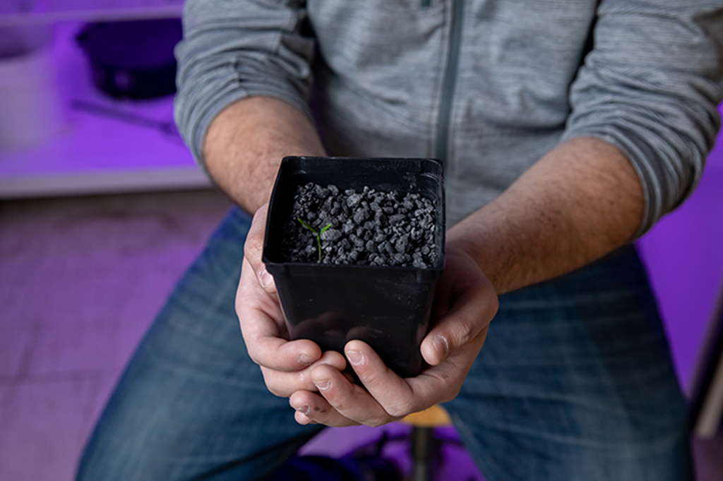 Hortaliças cresceram em solo semelhante ao de asteroides