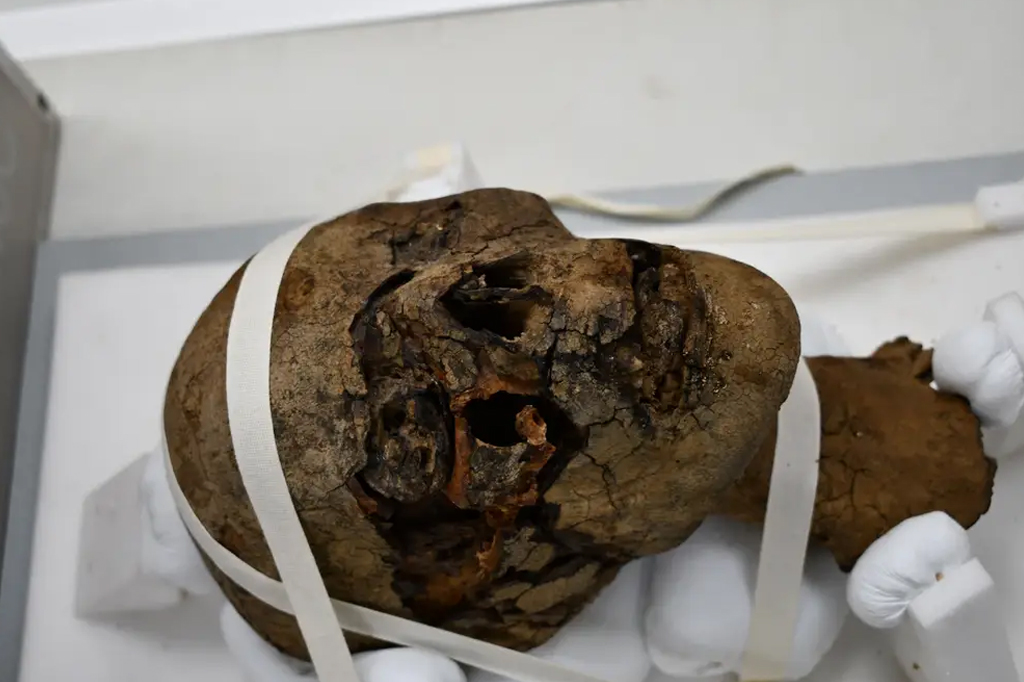 Fotografia da cabeça da múmia encontrada.