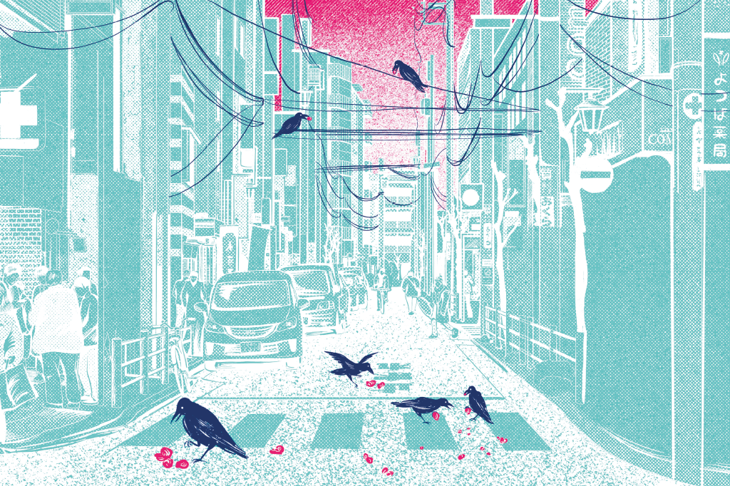 Ilustração de corvos nas ruas do Japão, com nozes no bico.