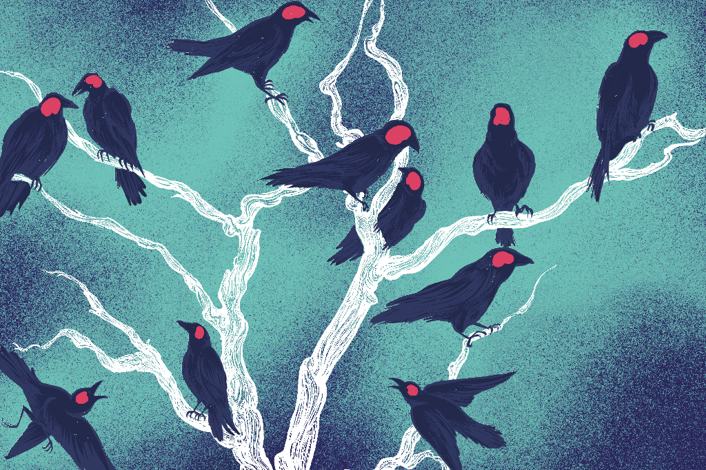 Ilustração de vários corvos empoleirados em uma árvore branca. Seus cérebros estão destacados.
