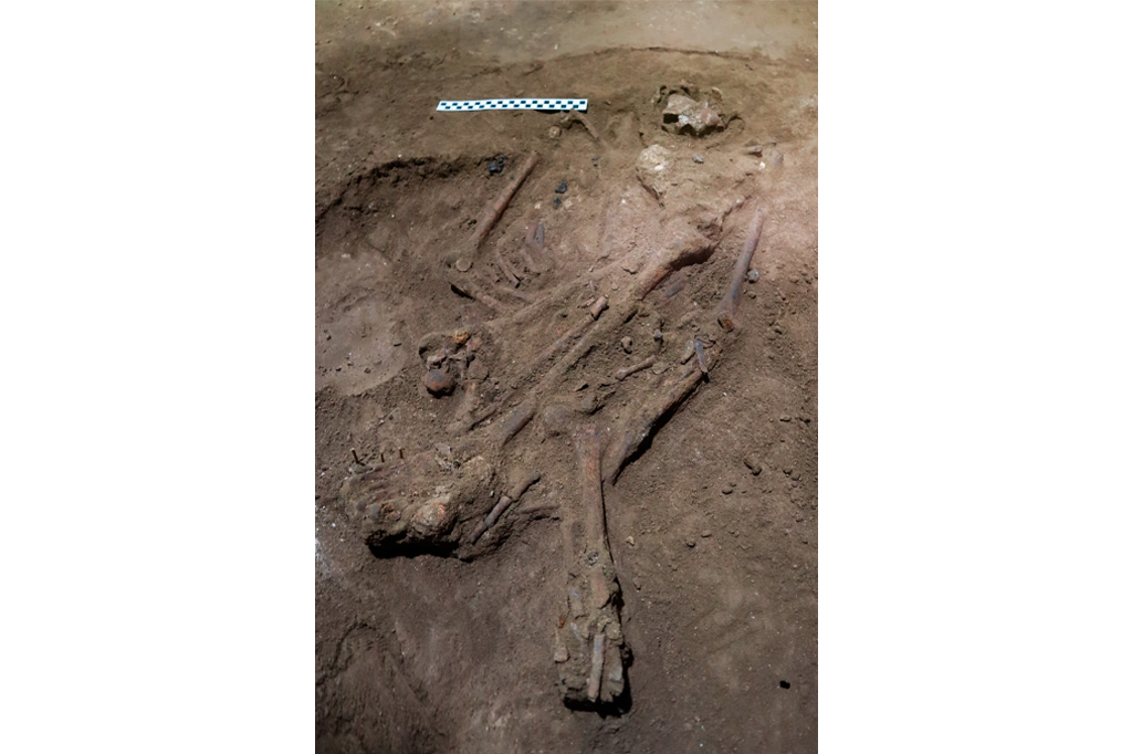 Fotografia do esqueleto sepultado ao lado de uma régua para escala: uma posição enterrada flexionada com o joelho direito trazido ao peito e um pé direito completo, e o joelho esquerdo flexionado abaixo da pelve, com a tíbia e a fíbula abaixo do fêmur.