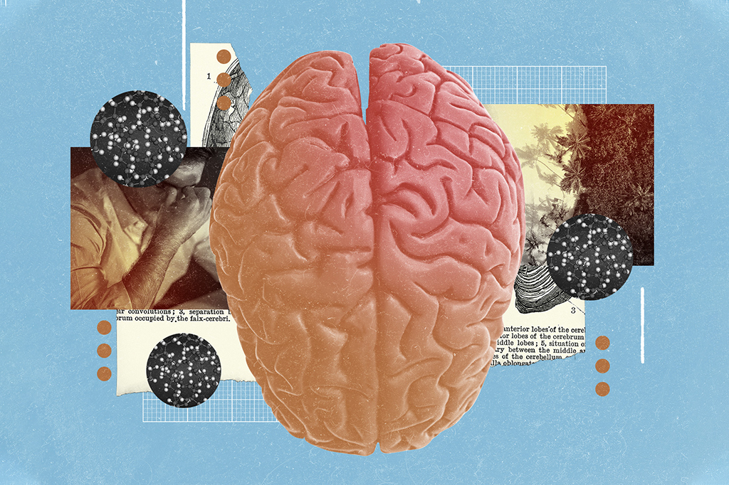 Colagem de cérebro, moléculas e fotografias representando memórias boas e ruins.
