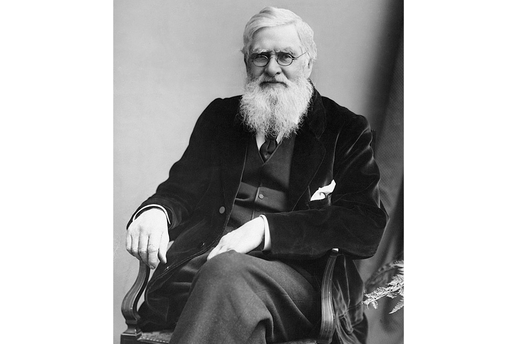 Retrato de Alfred Wallace.