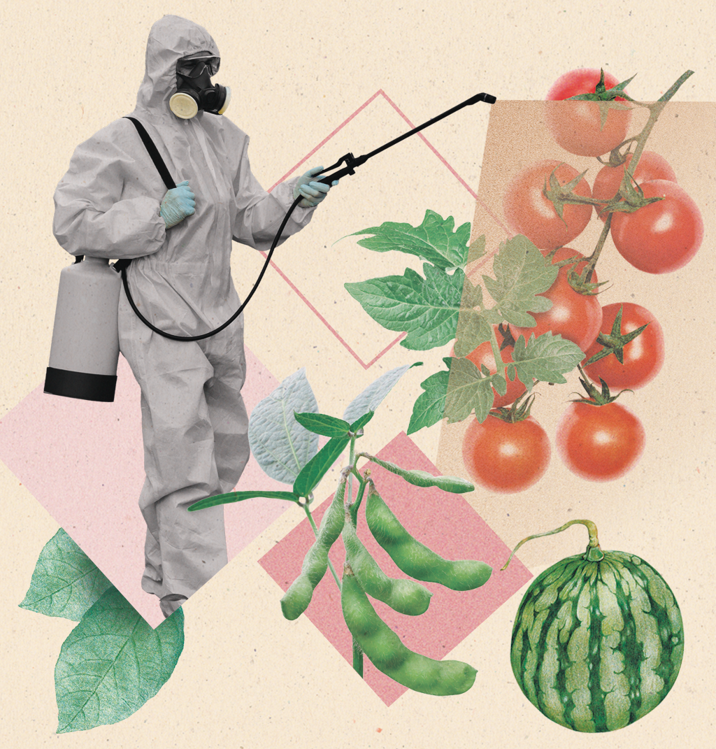 Colagem com uma pessoa aplicando pesticida, tomates, melância e soja.