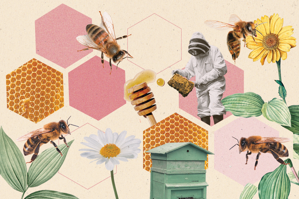 Colagem com abelhas de mel, um apicultor, flores e plantas.
