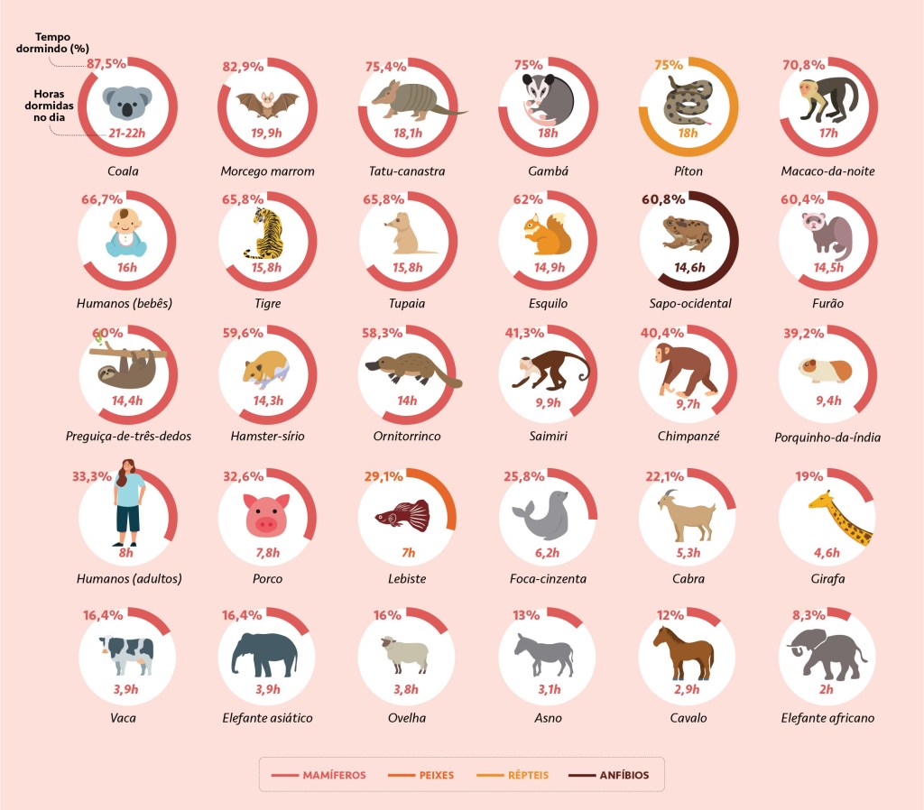 Infográfico com múltiplos gráficos apontando as horas dormidas e a porcentagem de tempo dormido, em um dia, de 30 espécies de animais diferentes.