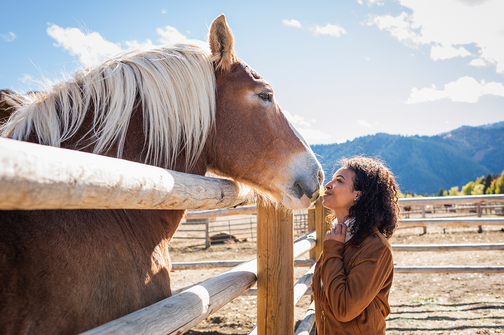 Uma mulher jovem olhando carinhosamente para um cavalo.