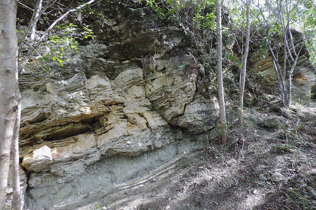 Camada de calcrete na base da sequência sedimentar, sobreposta por uma sequencia de travertino com intercalações de calcrete. Notar inclinação das camadas de cerca de 30 graus, na porção oeste da bacia, em direção à Falha São José.