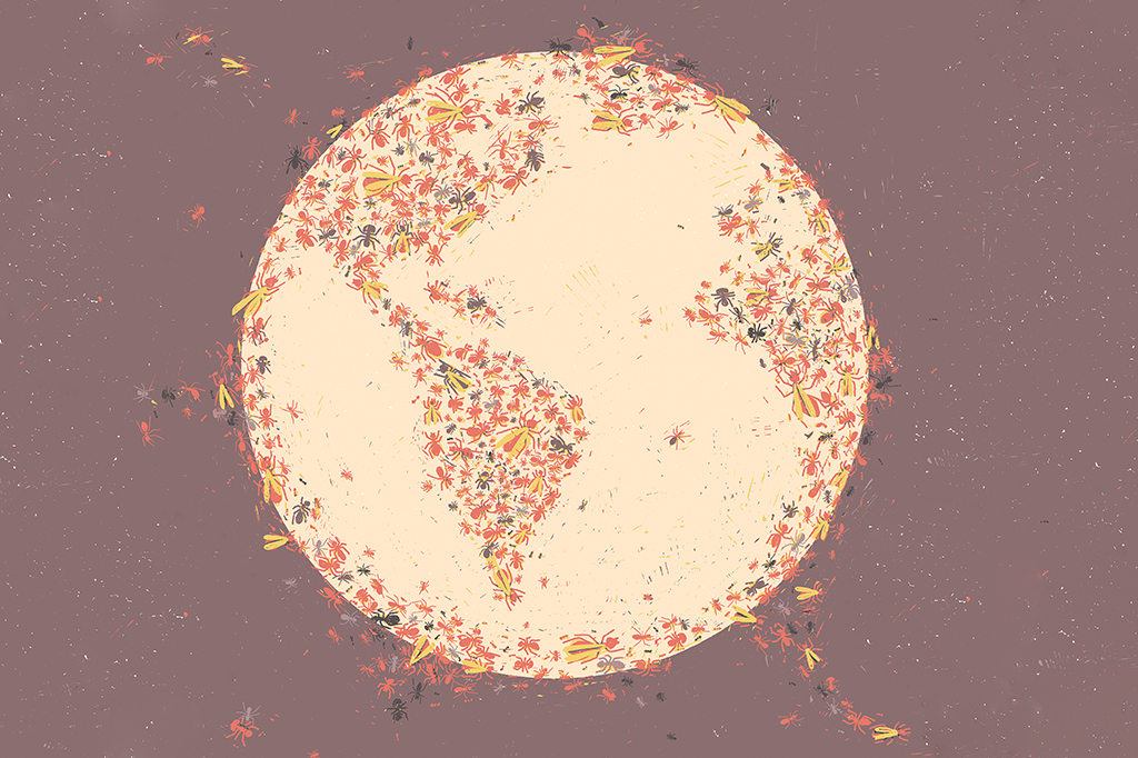 Ilustração de um globo cujos continentes são formados por montantes de formigas.