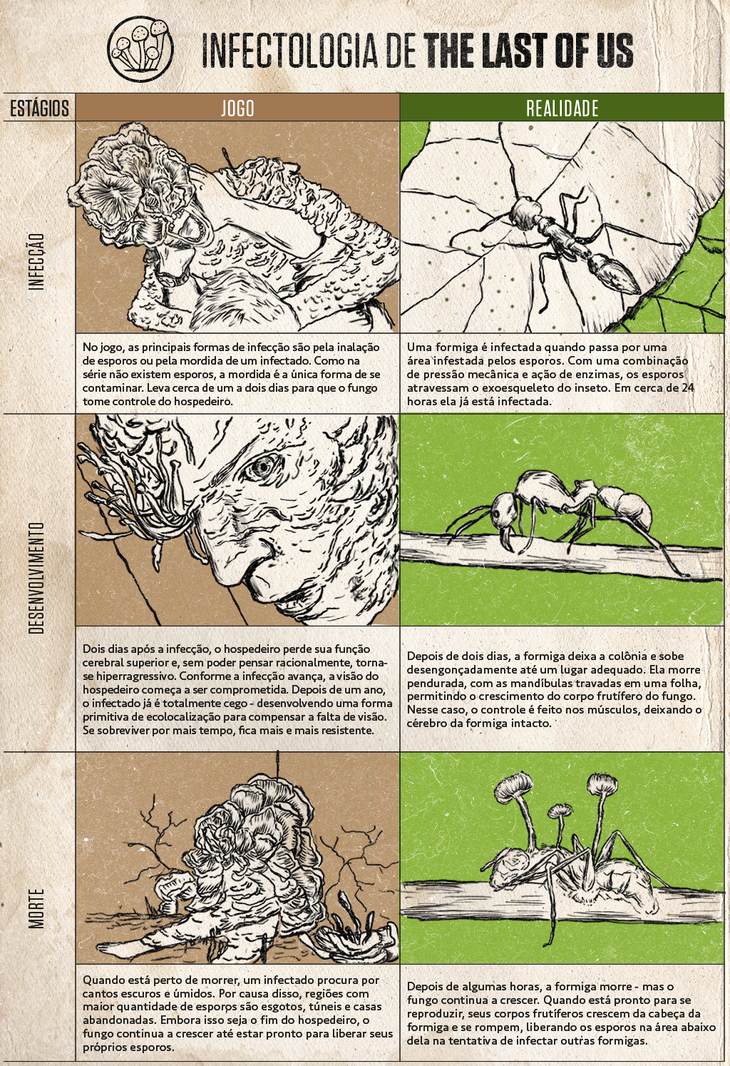 Quadro ilustrado comparando a infecção vista no jogo The Last Of Us e na realidade.