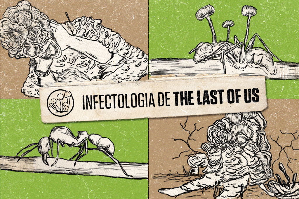 Quadro com 4 ilustrações de formigas e pessoas infectadas de The Last Of Us.