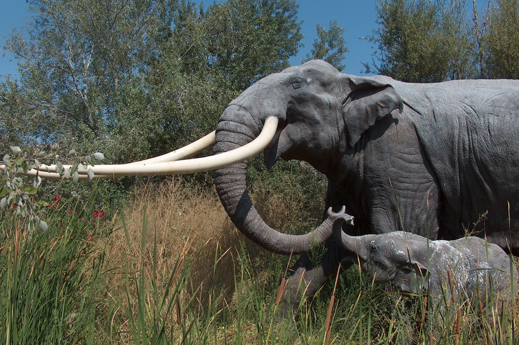 Neandertais caçavam elefantes quase três vezes maiores que os atuais