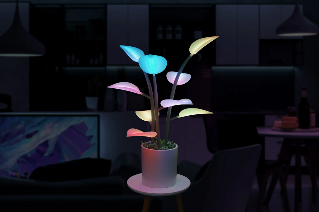 Um vasinho com a Fluora Mini em um ambiente escuro, onde se vê as folhinhas iluminadas.