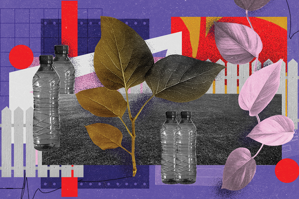 Colagem com elementos coloridos abstratos e recortes de fotografias de garrafas PET, grama e folhas de plantas.