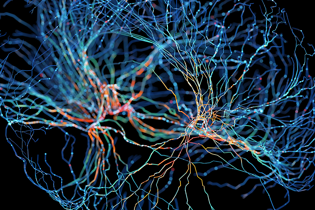 Imagem de um sistema neural.