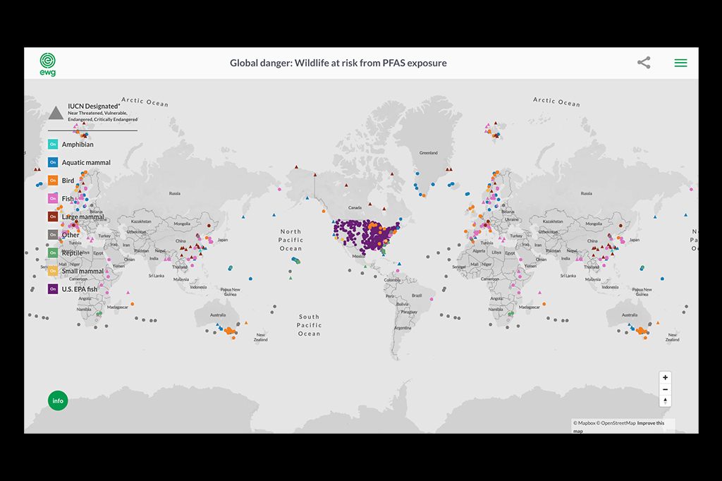 Mapa interativo da EWG indica lugares em que cientistas detectaram a contaminação por PFAS.