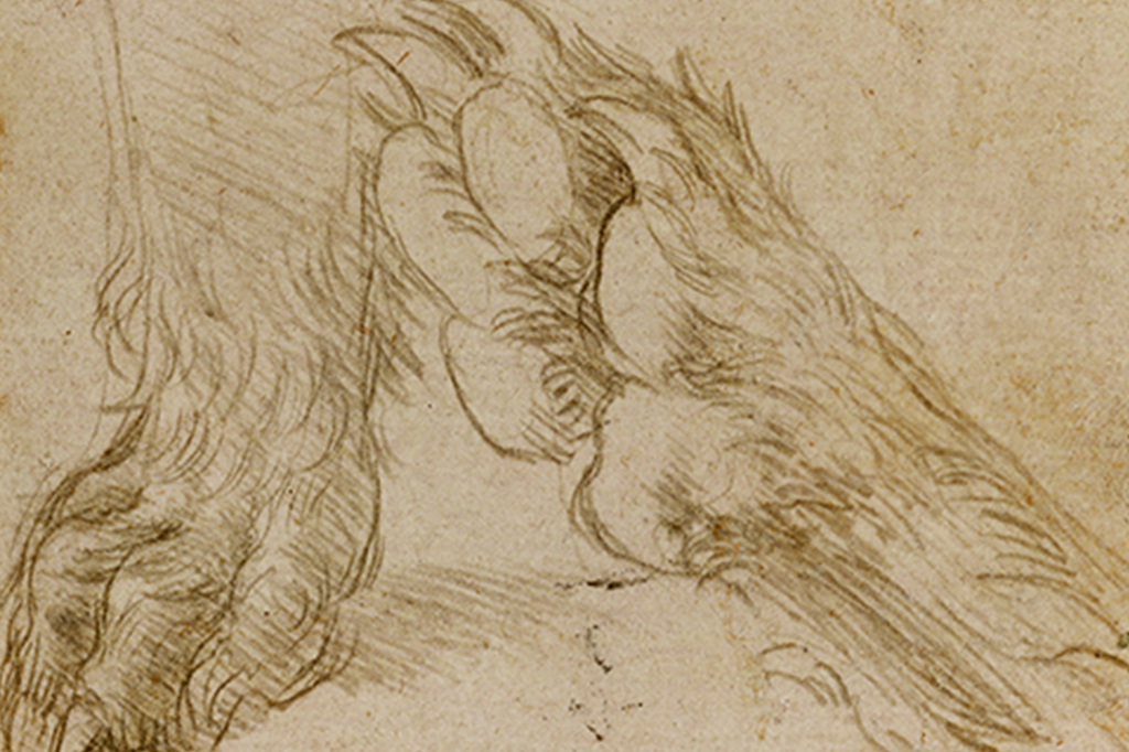 Leonardo da Vinci, Studies of a Dog's Paw (verso), National Galleries of Scotland.