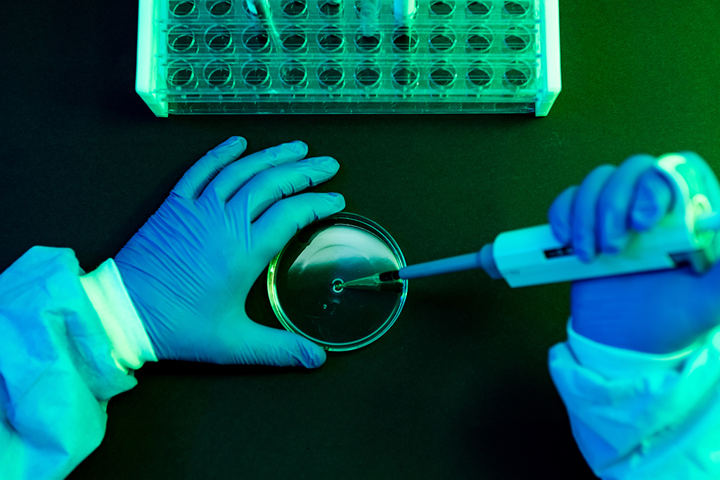 Fotografia das mãos de uma pessoa cientista manuseando placas de petri em laboratório.