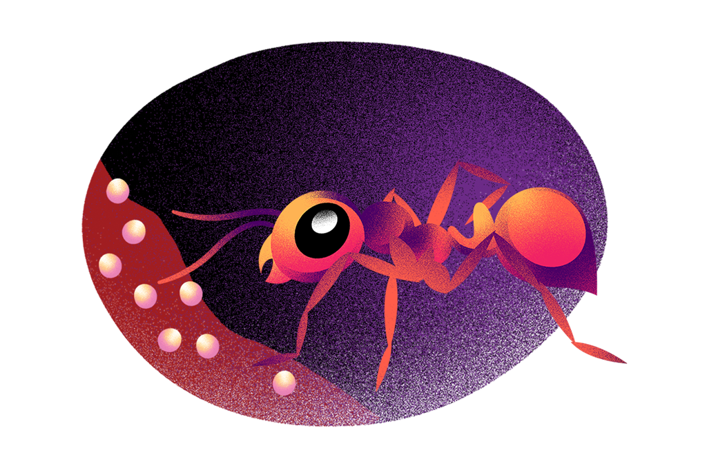 Ilustração de uma formiga perto de esporos.