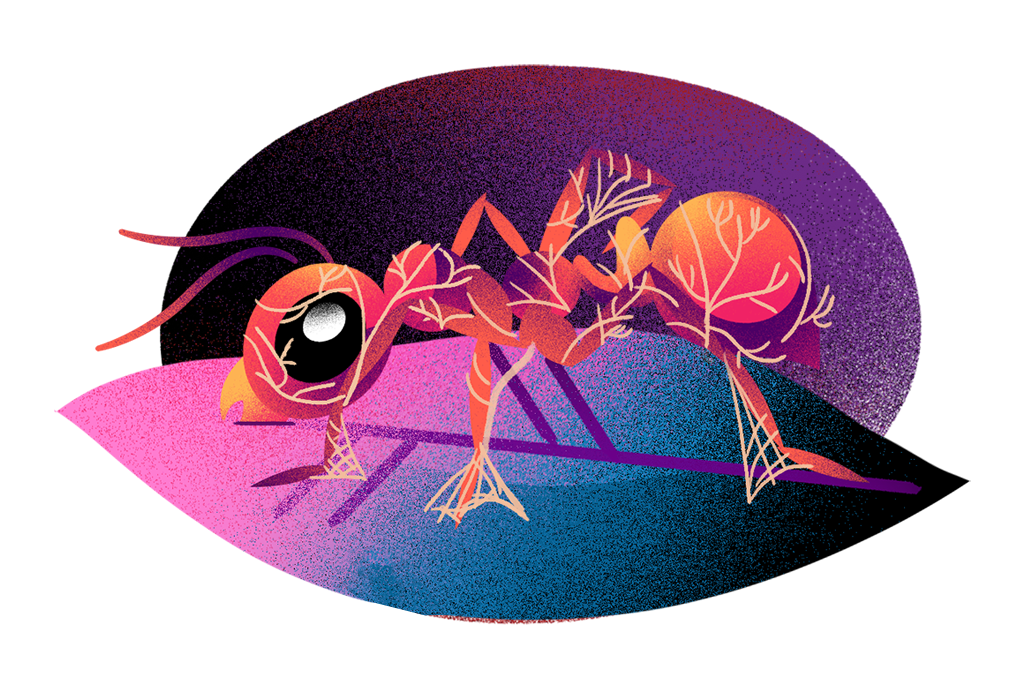 Ilustração de uma formiga dominada pelo fungo.