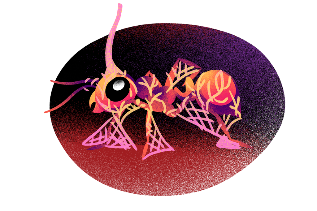 Ilustração de uma formiga infectada e liberando esporos.