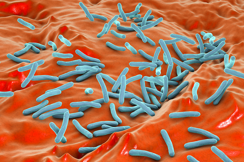 Ilustração da bactéria M.tuberculosis.