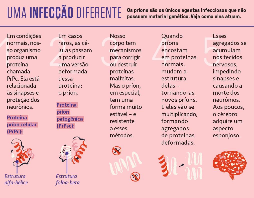 Esquema ilustrado e informativo sobre como ocorre a infecção por príons.