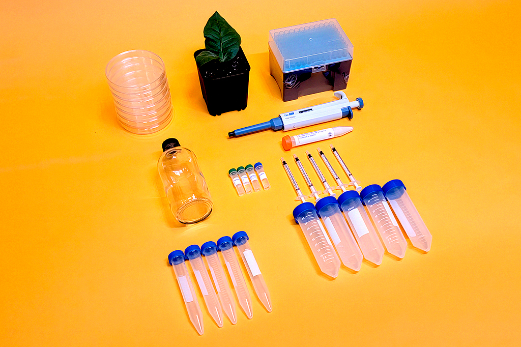 Foto detalhada de kit que permitem brincar de alterar o DNA de plantas, bactérias e células humanas.