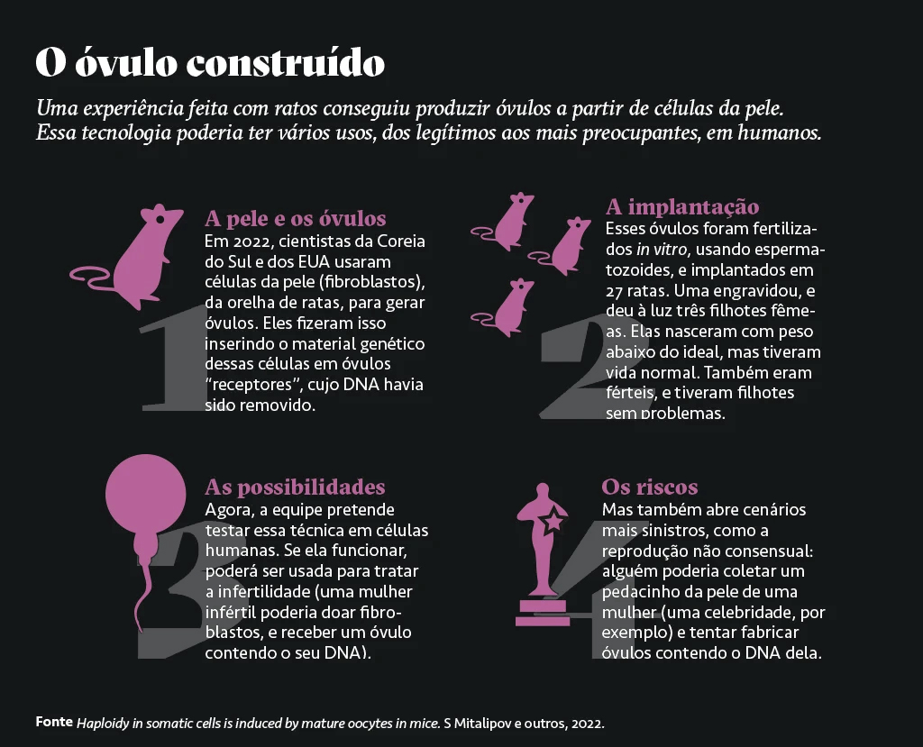 Infografico ilustrado sobre uma experiencia feita com ratos para produzir ovulos a partir de celulas da pele.