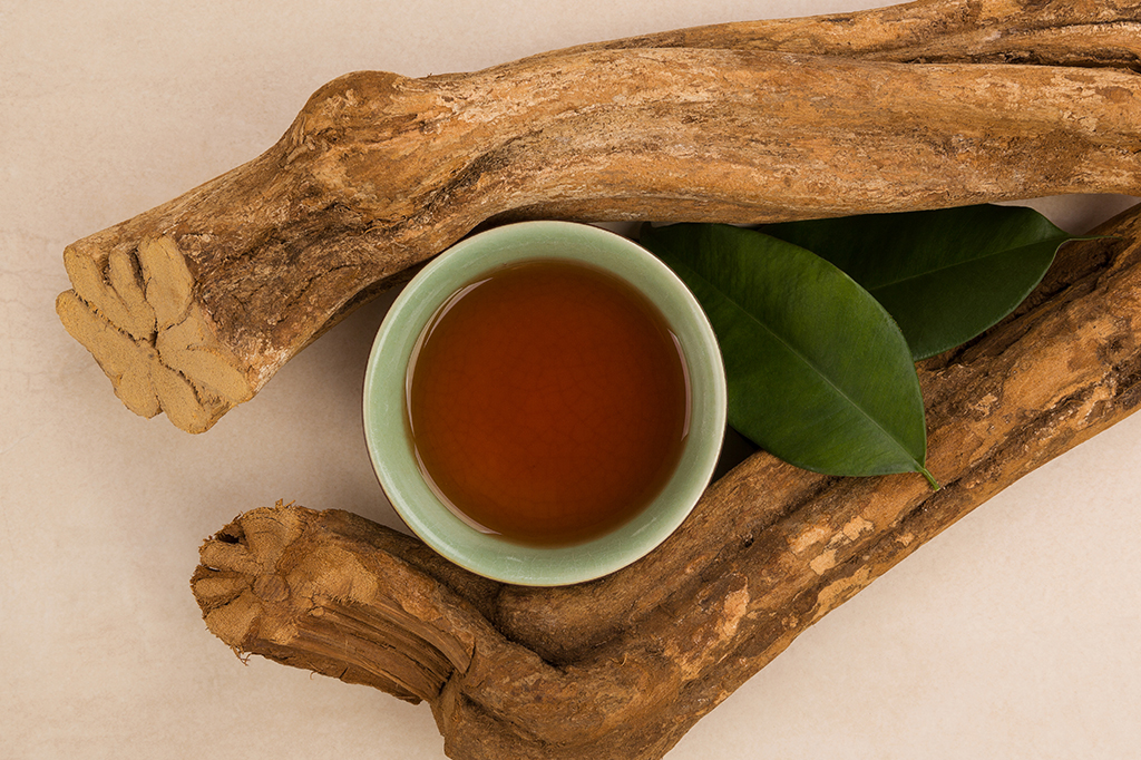 Estudo britânico mostra como a ayahuasca afeta o cérebro