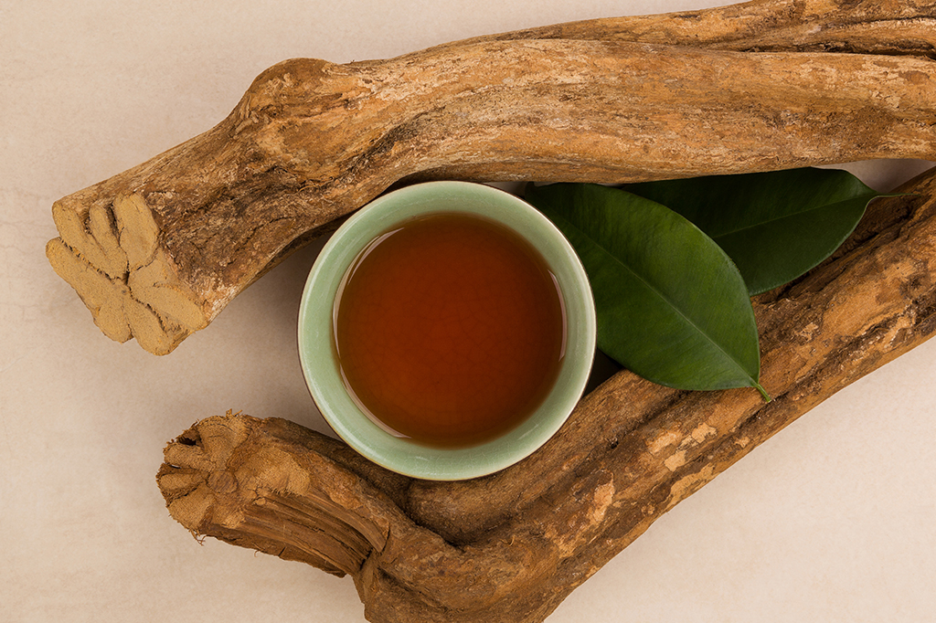 Foto de uma xícara de chá de ayahuasca, em uma composição com troncos e folhas da árvore.