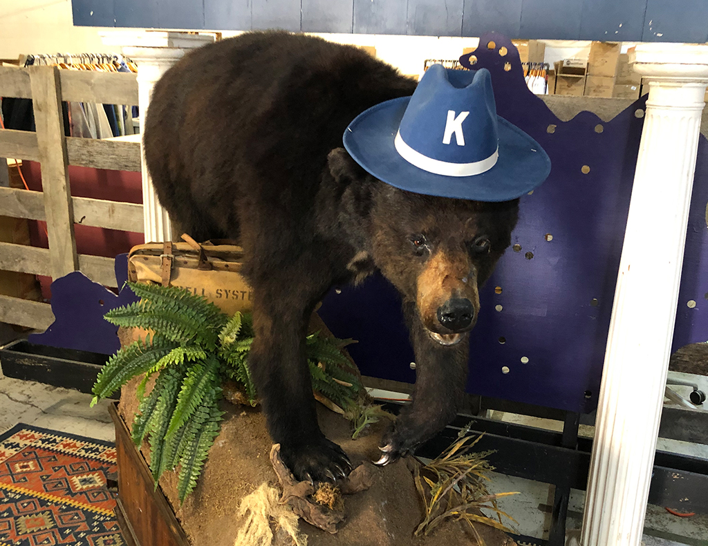 Foto da estátua de um urso usando um chapéu.
