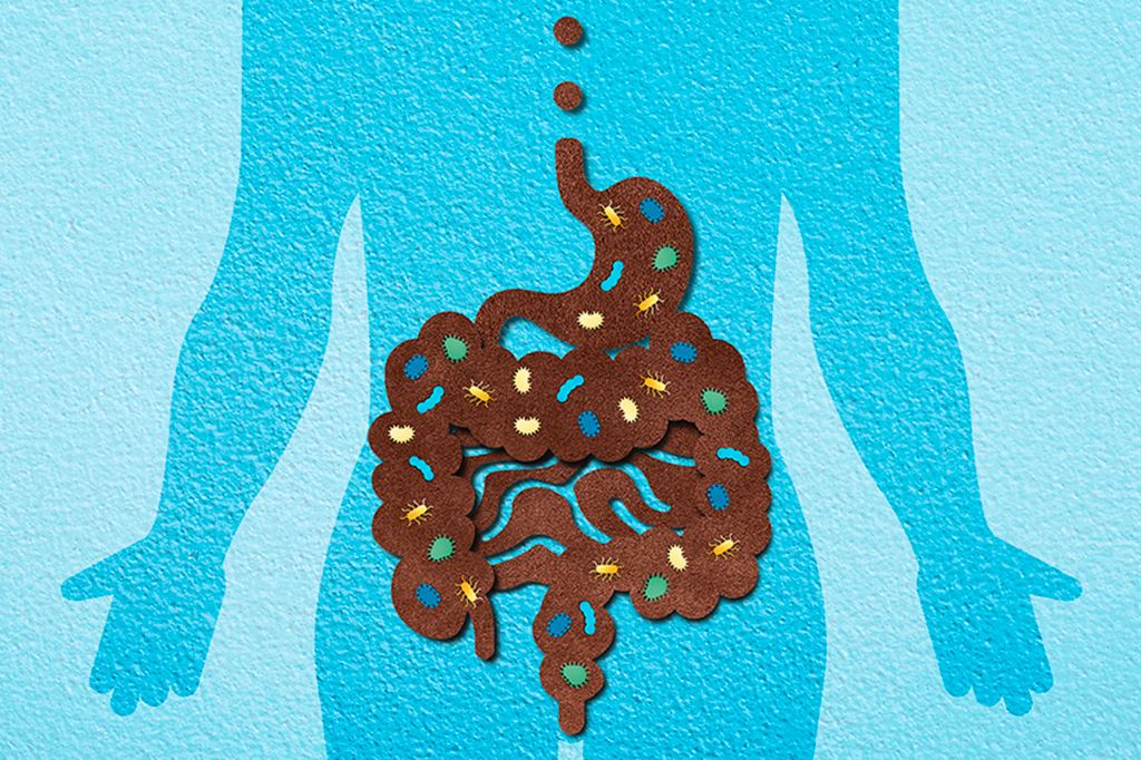 Ilustração do eixo do intestino com alguns microorganismos.