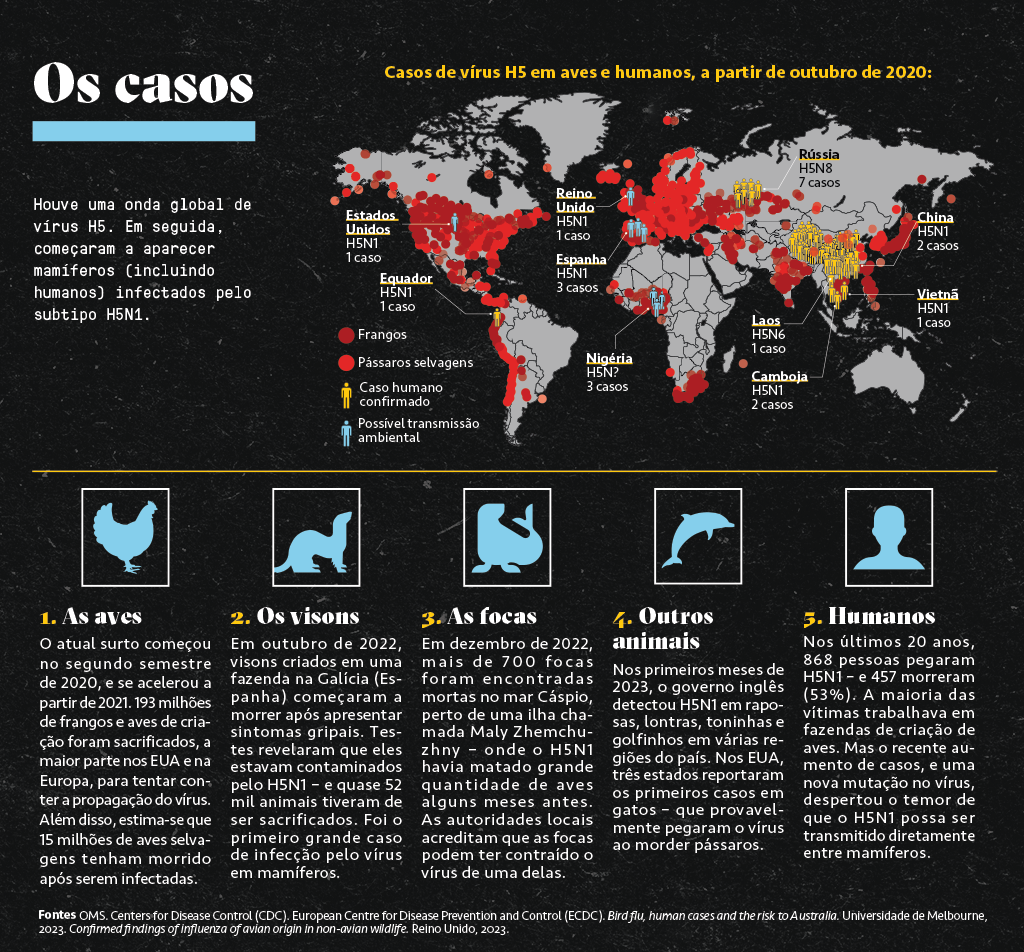 Nova cepa de vírus viral infecta e mata diversos cavalos na Europa