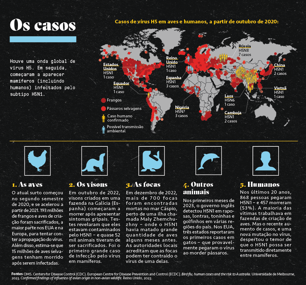 Infográfico mostrando os casos de H5N1 no mundo.