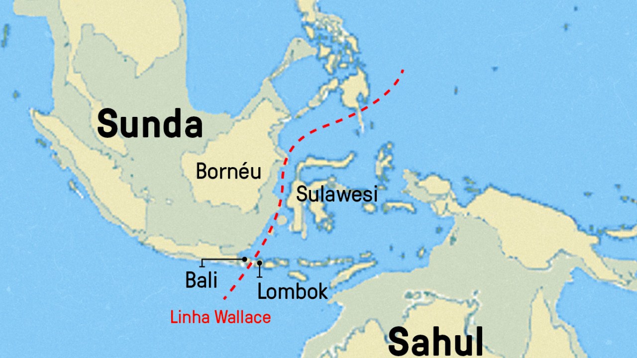 Mapa da linha Wallace.