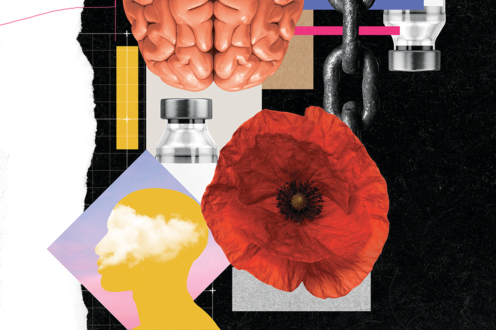 Colagem com cérebro, flor, corrente, ampolas de vidro e formato de perfil de uma pessoa com uma imagem de nuvens dentro.
