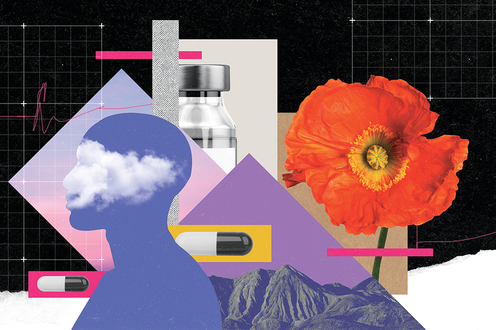 Colagem com flor, pílula, montanhas, ampolas de vidro e formato de perfil de uma pessoa com uma imagem de nuvens dentro.