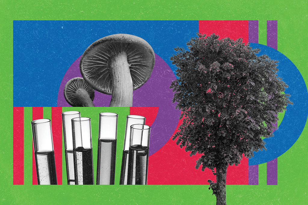 Colagem com uma árvore, fungos e tubos de laboratórios.