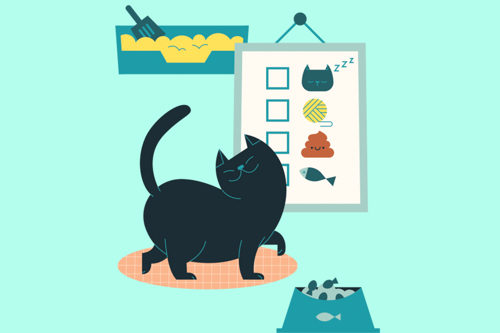 Ilustração de gatinho perto de um quadro com rotina de atividades.