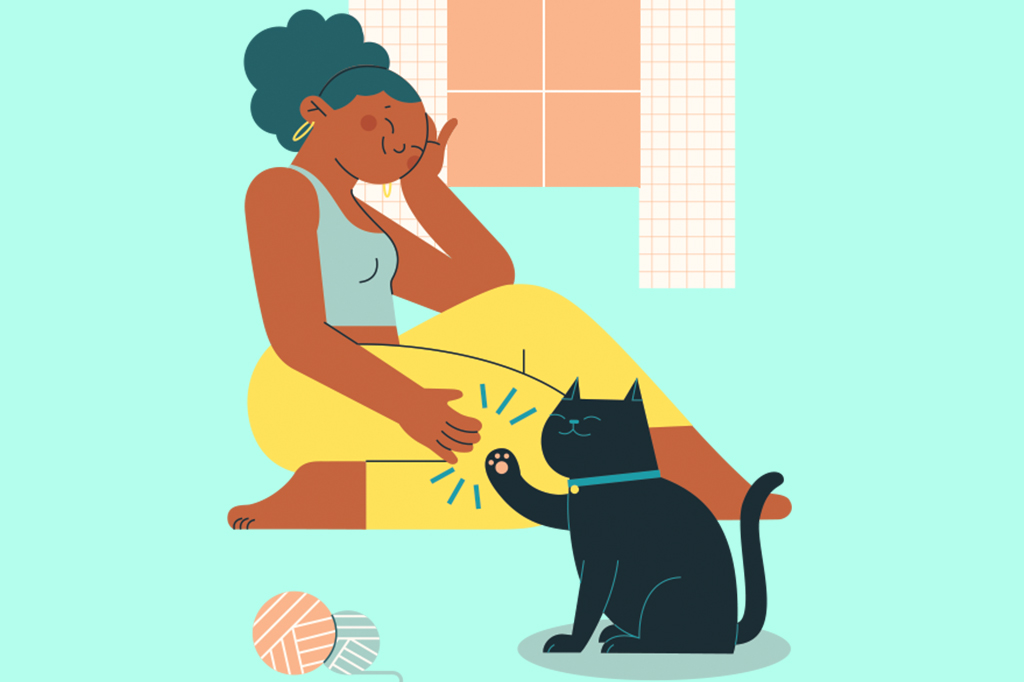 Adestre seu gato em casa Ilustração de um gatinho e sua dona fazendo high five.