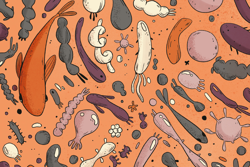 Cena ilustrada, vista de cima, de vários microorganismos e peixes dispostos aleatoriamente.