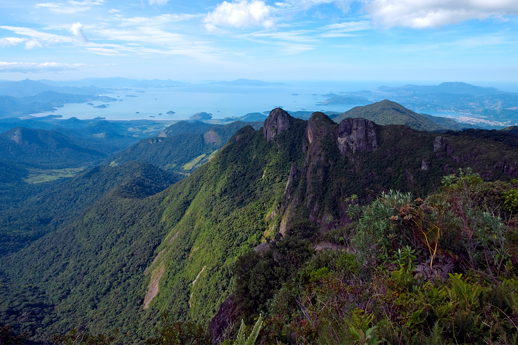 Serra do Mar: entenda os deslizamentos que ocorrem no litoral paulista