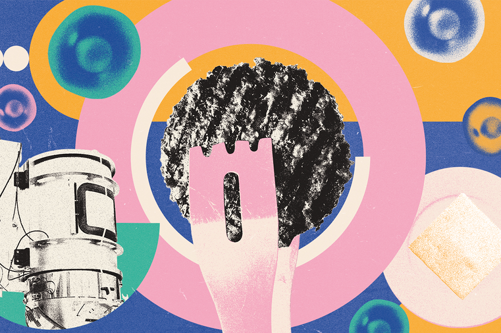 Empresa cria carne geneticamente modificada