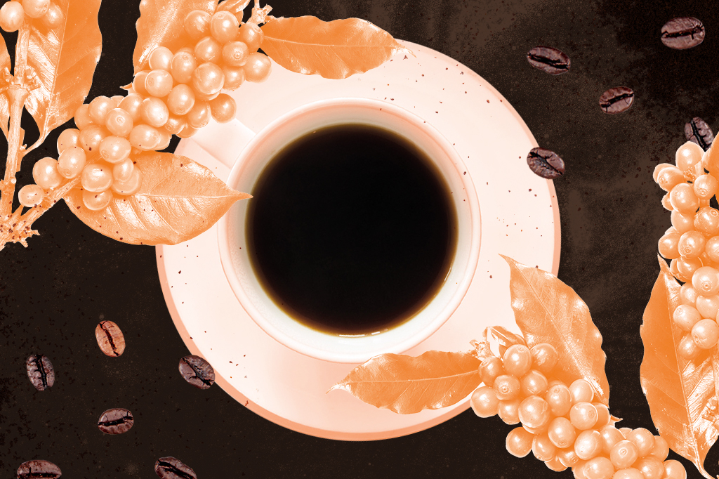 Colagem com xícara, planta e grãos de café.