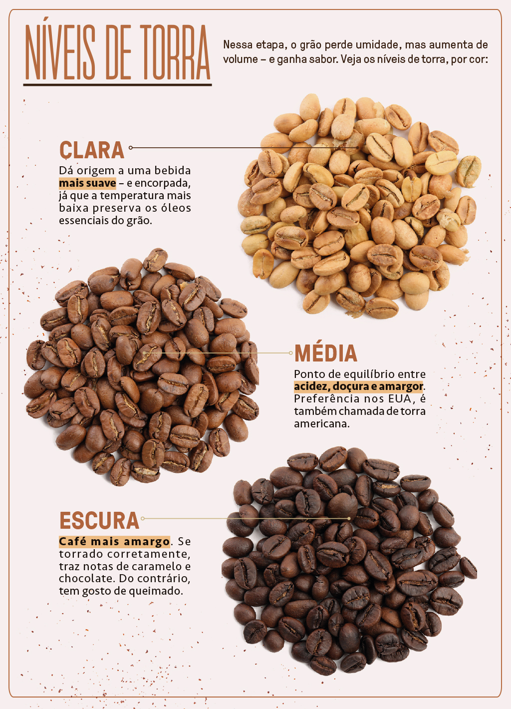 Infogr&aacute;fico sobre os tipos de torra do gr&atilde;o de caf&eacute;.