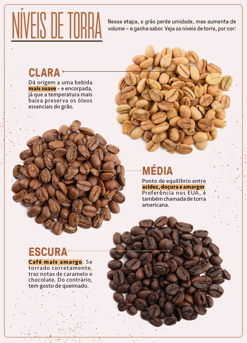 Infográfico sobre os tipos de torra do grão de café.